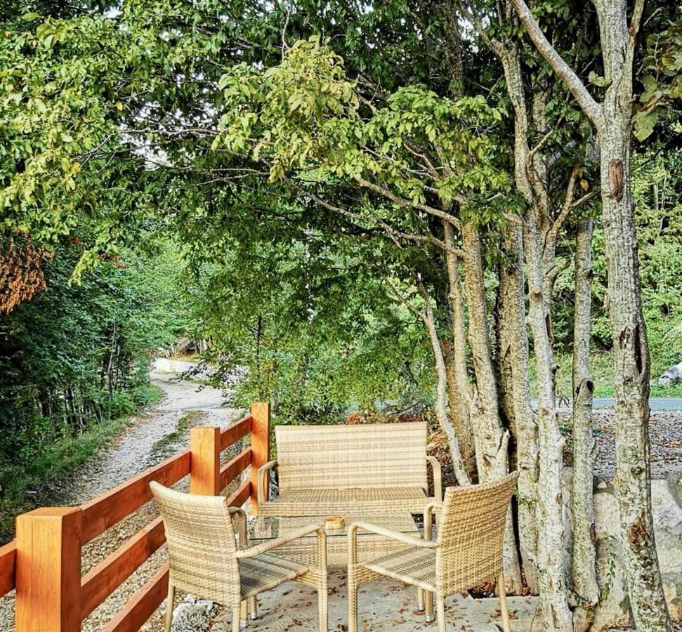 Oasis Of Peace Apartment Cetinje Ngoại thất bức ảnh